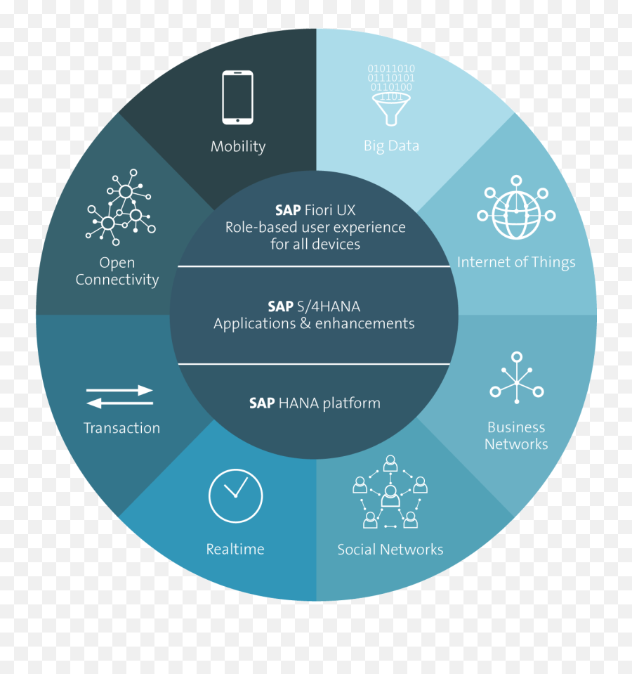 Sap Extensibilty - S 4 Hana Png,Sap Logon Icon