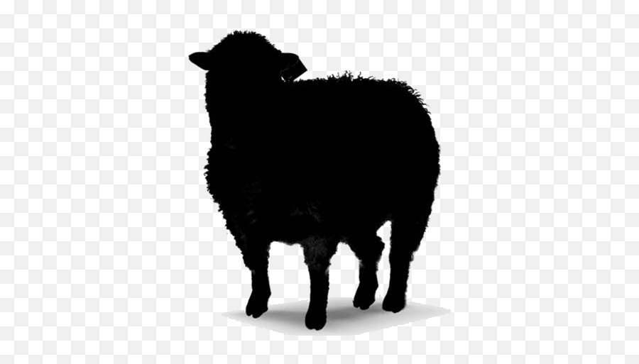 Transparent Wool Sheep Icon Pngimages - Sheep,Sheep Icon