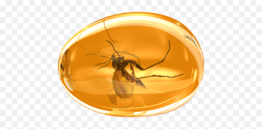 Amber Gem Jewel Komar Mosquito Precious Succinite Icon - Mosquito In Amber Png,Mosquito Transparent
