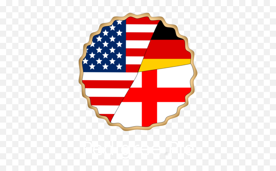 Relative Finder - Homepage Circle America Flag Transparent Png,Lds.org Icon