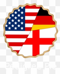 Relative Finder - Homepage Circle America Flag Transparent png