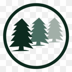 Cedar Management Group Homeowners Association - png