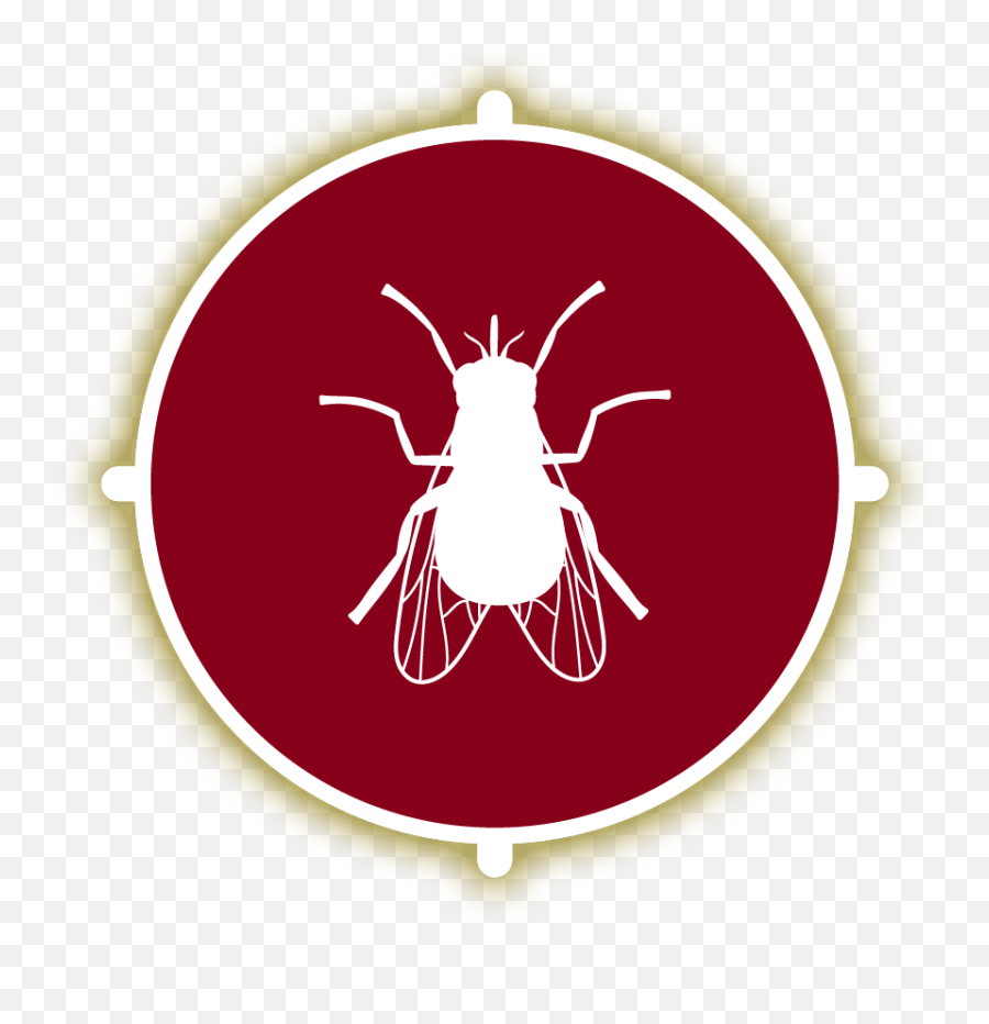 Bengal Pest Control U2013 Protection For The Whole Family - Parasitism Png,Pest Icon