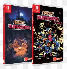 Upfall Studios - Quest Of Dungeons Nintendo Switch png
