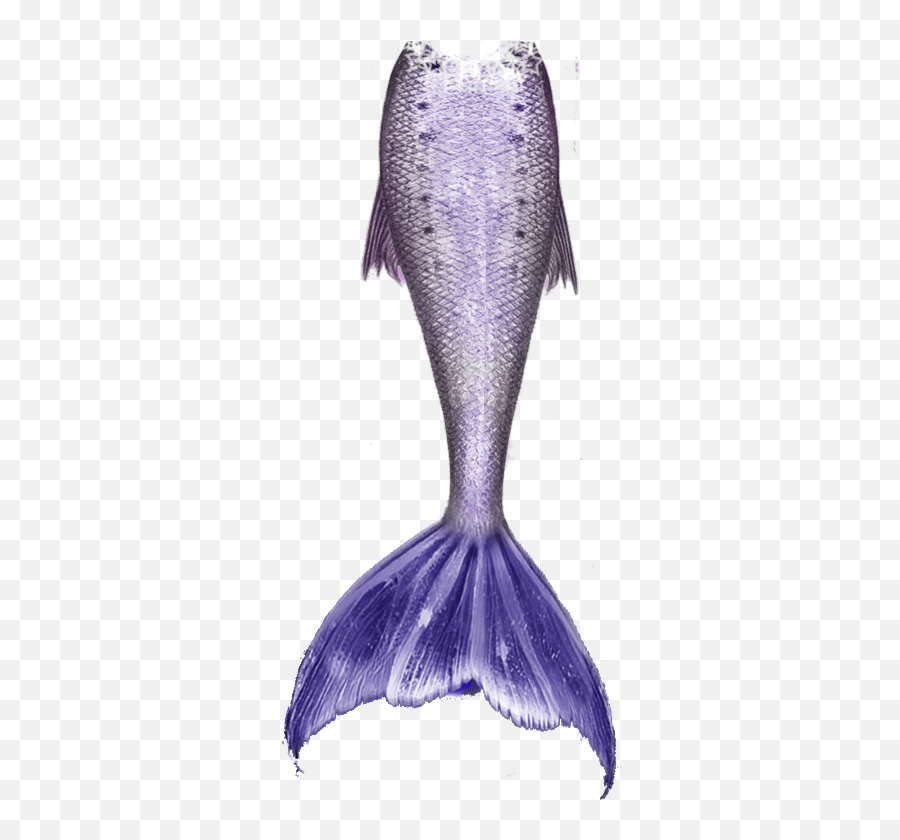 Mermaid Tails Png 2 Image - Drawing Of Mermaid Tails,Tails Png