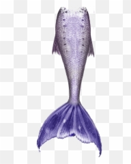 Mermaid Tails Png 2 Image - Drawing Of