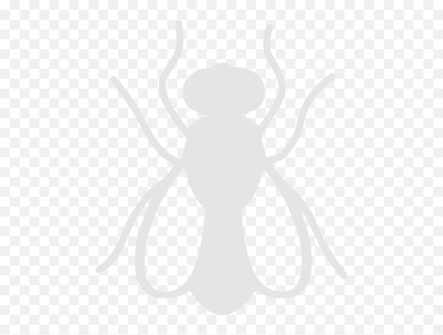 Flying Insects Everyday Pest Control Png Fly Repellent Icon