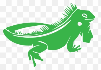 Lizard Chameleons Reptile Green Iguana - Iguanas Png,Iguana Png