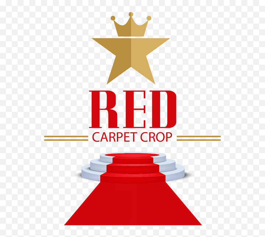 Red Carpet Crop - Black Star Symbols Png,Red Carpet Png