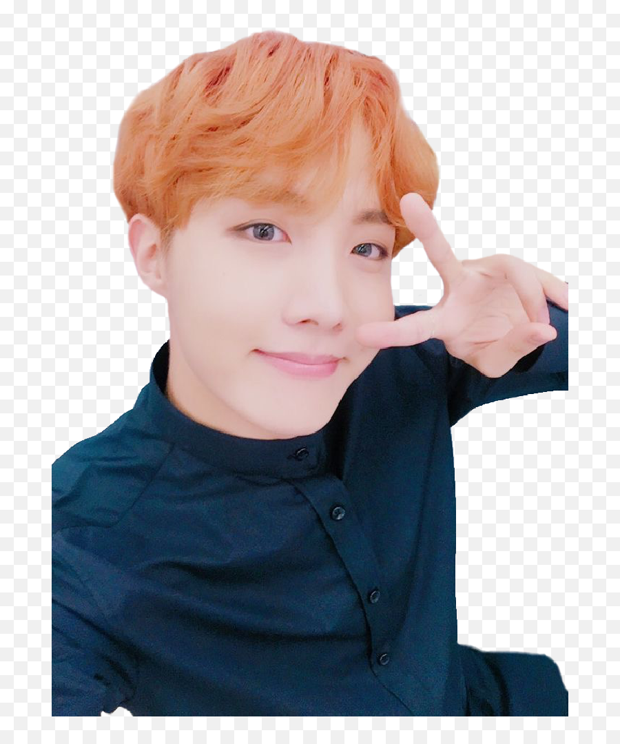 Sticker Jhope Bts Kpop Btsjhope Cut - J Hope Kpop Png,J Hope Png