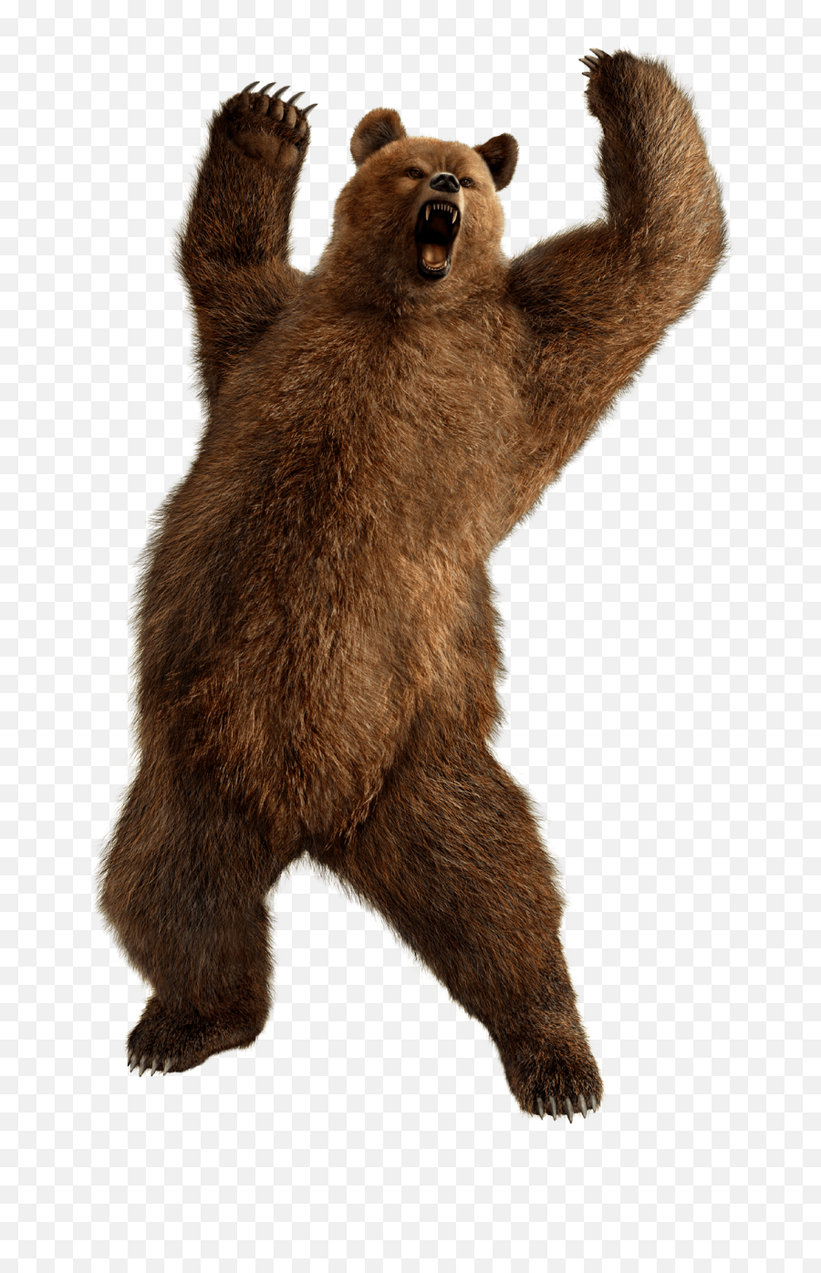 Grizzly Bear Standing Png Image - Bear Png,Grizzly Bear Png