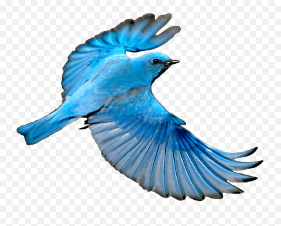 Flying Mountain Blue - Blue Bird Png Flying,Blue Bird Png
