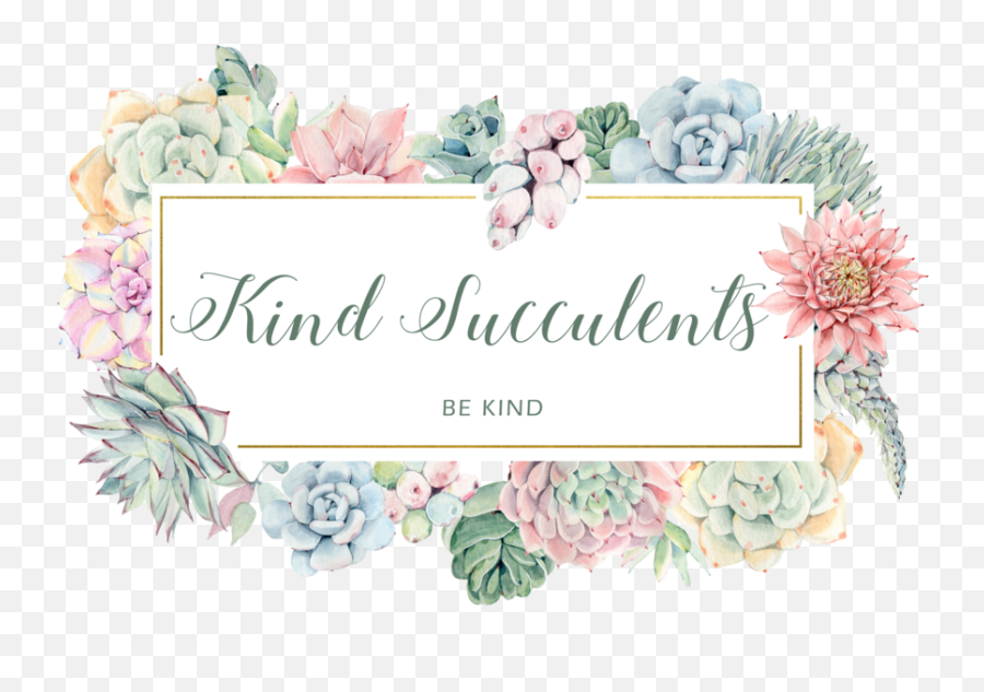 Download Kind Succulents - Garden Roses Full Size Png Garden Roses,Succulents Png