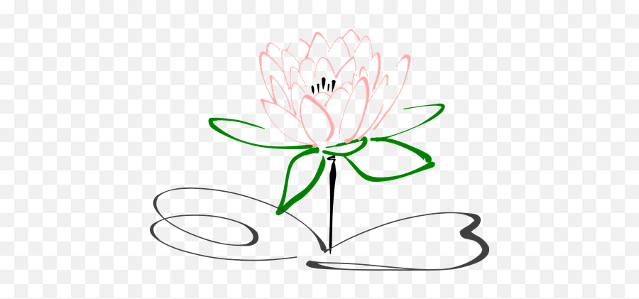 Download Lotus Flower Blossom Plant Nature Pink Blo - Lotus Flower Line Art Png,Lotus Flower Png