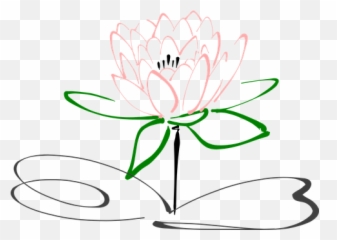 Download Lotus Flower Blossom Plant Nature Pink - Line Art png