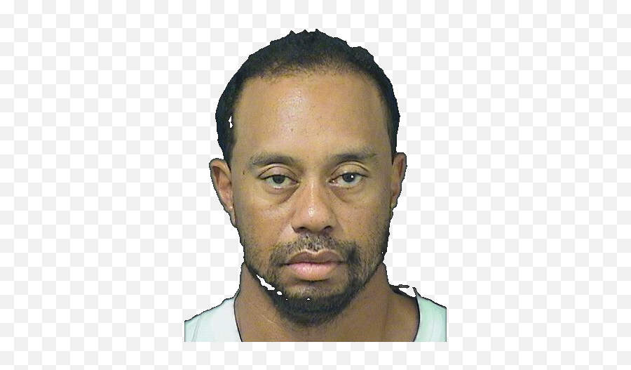 Tiger Woods Drunk Driving - Tiger Woods Arrested Png,Tiger Woods Png