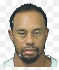 Tiger Woods Drunk Driving - Tiger Woods Arrested Png,Tiger Woods Png