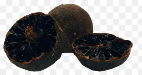 Black Lime Loomi - Black Lime Loomi Png,Limes Png