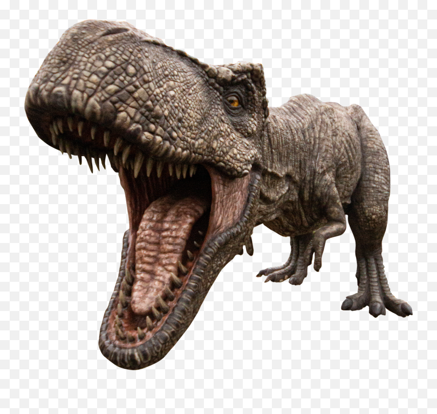 Dinosaur Trex Tyrannosaurus - Free Photo On Pixabay Dinosaur Trex Png,Transparent Dinosaur