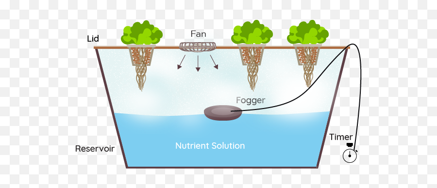 Green And Vibrant - Fogponics System Png,Green Fog Png