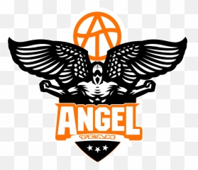 Team Angel - Conseils en paris sportifs Anjo Com Arma Vector png
