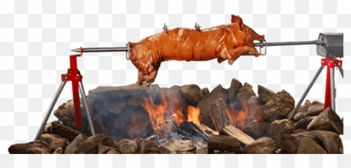 Spit Roasters Baviator - Ash Png,Spit Png