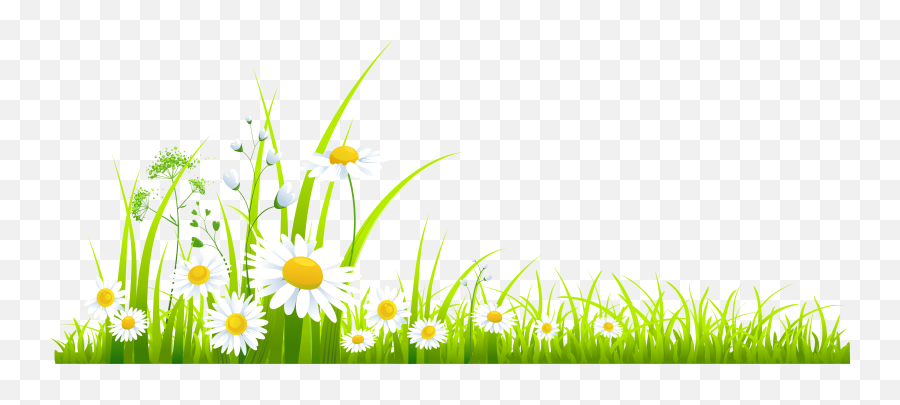 Spring Png Transparent Images - Transparent Spring Clipart,Spring Background Png