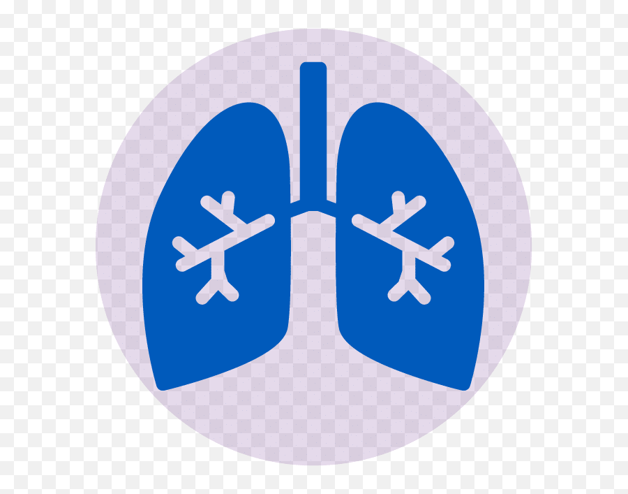 What Is Lung Cancer Explained U2014 Bowen Icon - Journée Mondiale De L Asthme 2019 Png,Difficulty Level Icon