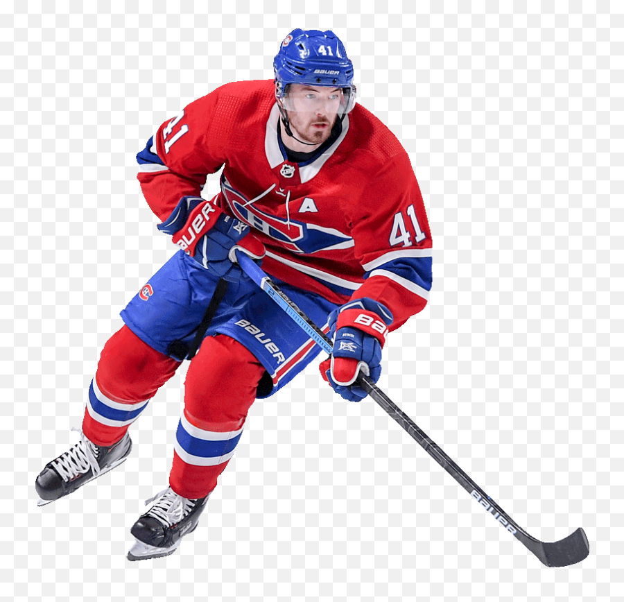 Twitter - Montreal Canadiens Player Png,Montreal Canadiens Icon