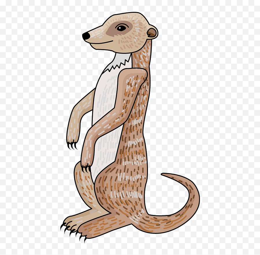 Meerkat Clipart - Animal Figure Png,Meerkat Icon