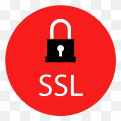 Ssl - Vertical png
