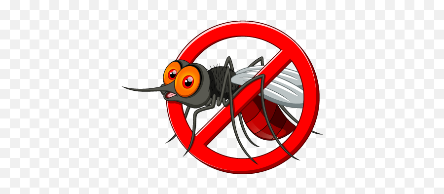 Mosquito Png Transparent Mosquitopng Images Pluspng - No Mosquito Cartoon,Mosquito Transparent