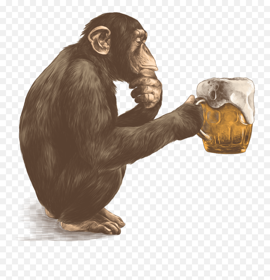 Monkey 9 Brewing Richmond Bc - Monkey With Beer Png,Monkey Png