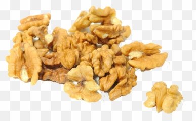 Hd Walnut Transparent Png Image - Walnut Png,Walnut Transparent