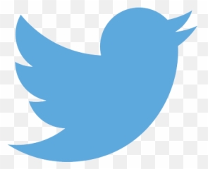 Twitter Logo Blue Bird U2014 School Of Medicine University - Logo Png