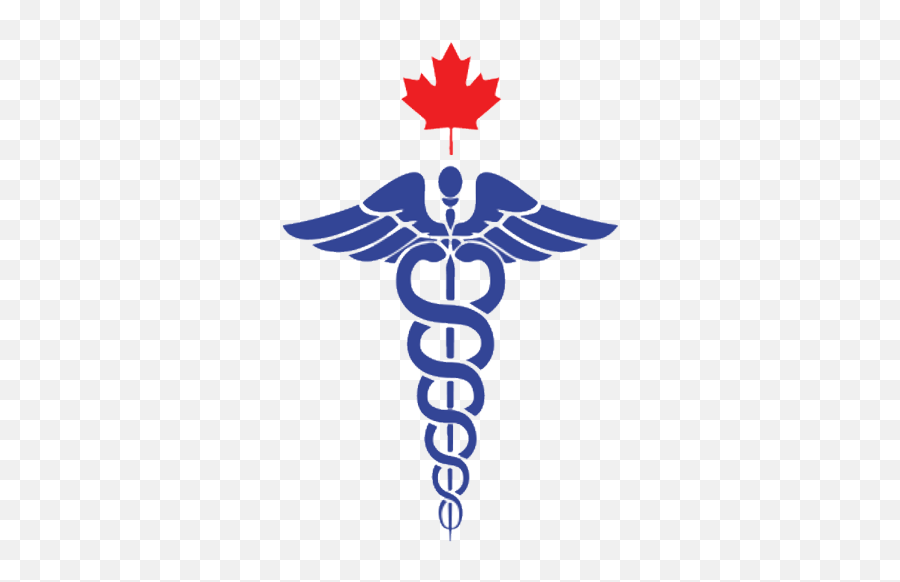 Camp Certified Roadmap - Canadian And Us Nurses U2013 Aesthetic Png,Nurses Icon