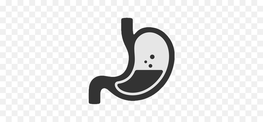 The Culprits That Cause Gas And Bloating Carolina Digestive - Bloating Png,Gut Icon