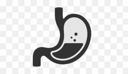 The Culprits That Cause Gas And Bloating Carolina Digestive - Bloating Png,Gut Icon