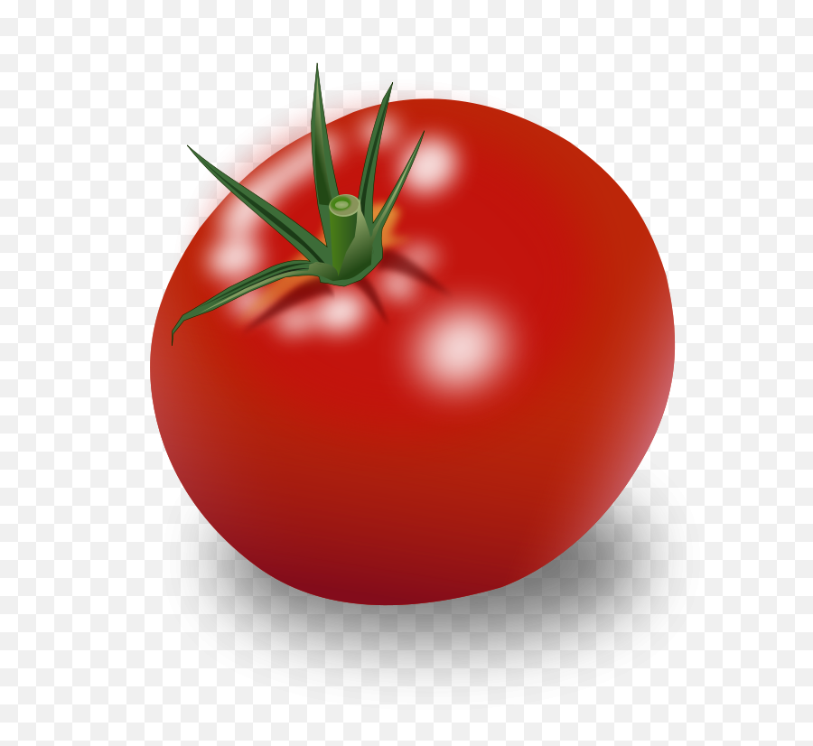 Filetomatopng - Wikimedia Commons Tomato Png,????? Png