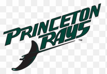 Princeton Devil Rays Primary Logo - Appalachian League Appl Princeton Rays Png,Devil Logo