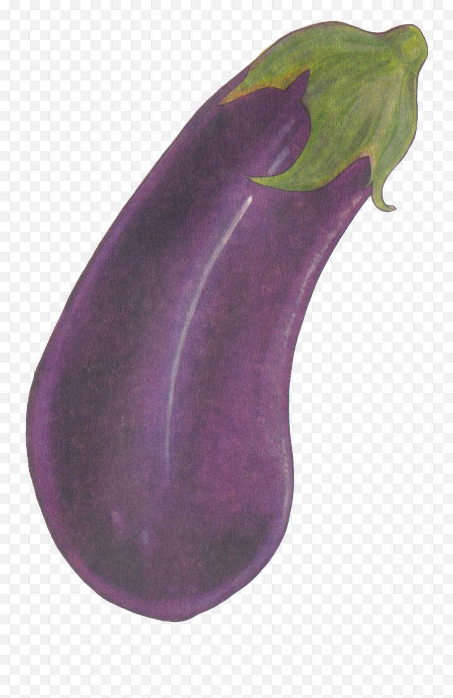 Eggplant Purple Health Love - Eggplant Png Download 1427 Eggplant,Eggplant Transparent Background