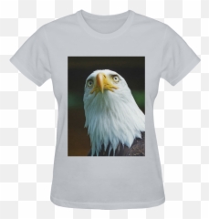 Download American Bald Eagle Head 001 14 Sunny Womenu0027s T - Bald Eagle Png,Bald Head Png