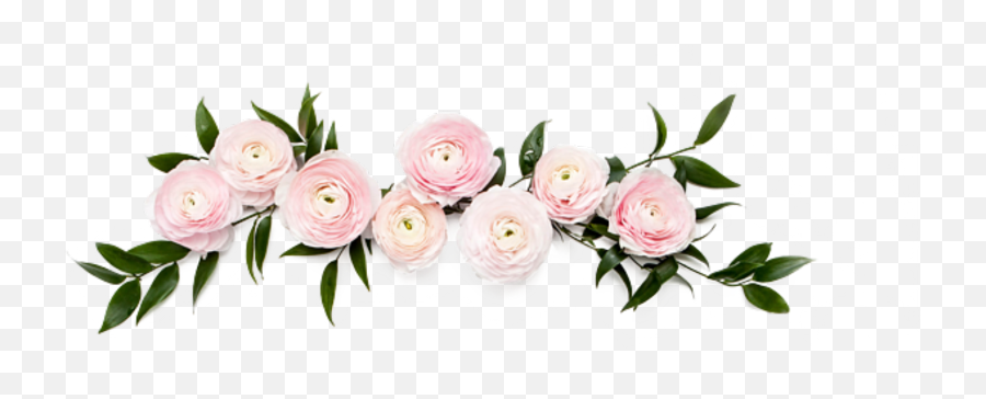 Flower Crown Png Tumblr - Rose Leaf Leafs Flower Dusty Pink Flowers Png,Rose Transparent