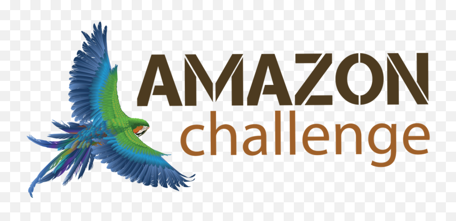 Amazon Challenge Jungle Adventure Large Minority - Black Mamba Png,Amazon Transparent