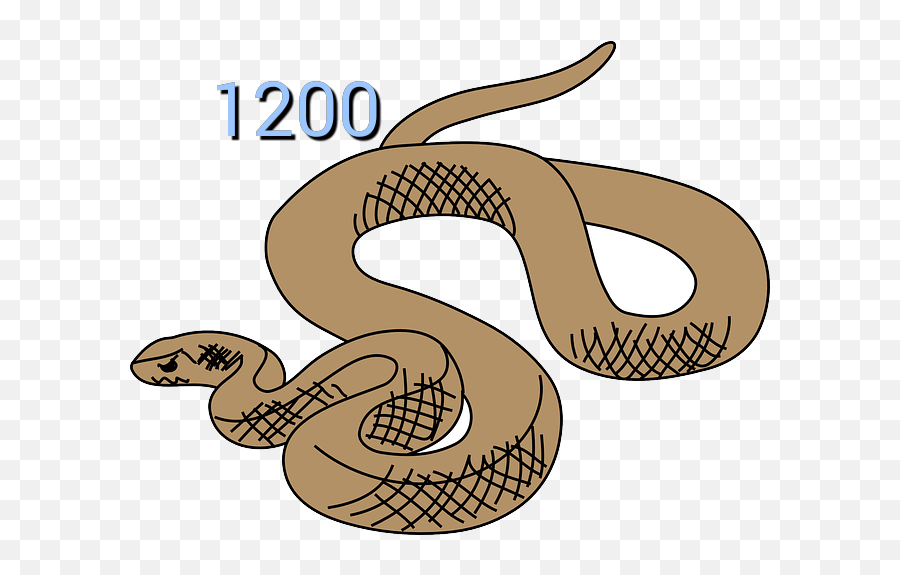 Brown Snake Clipart - Information Report Animal Template Year 3 Png,Snake Transparent Background