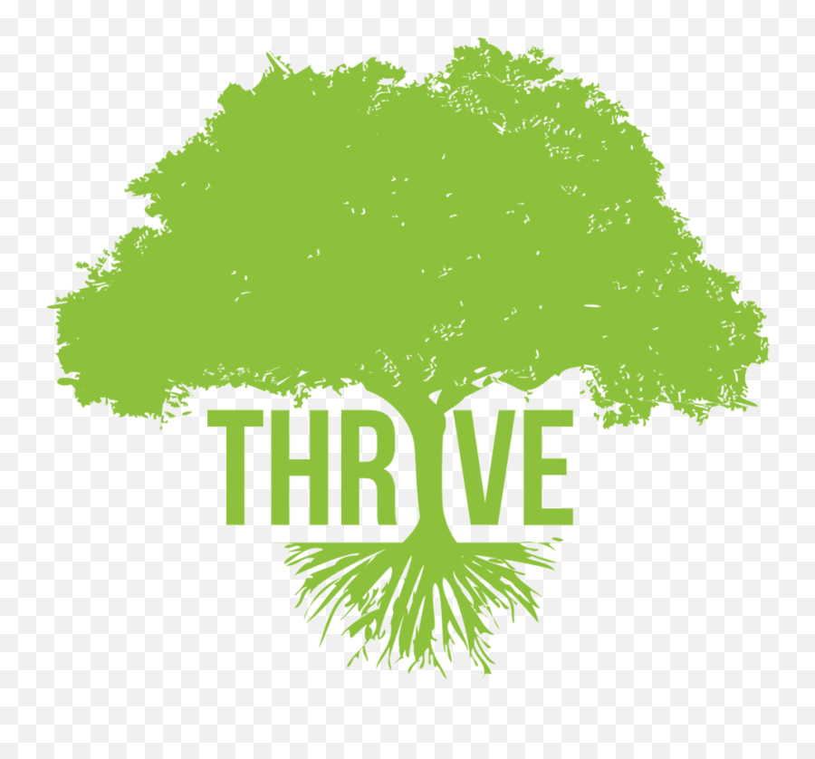 Download Breaking Bad Logo Png - Thrive Tree,Breaking Bad Logo Png