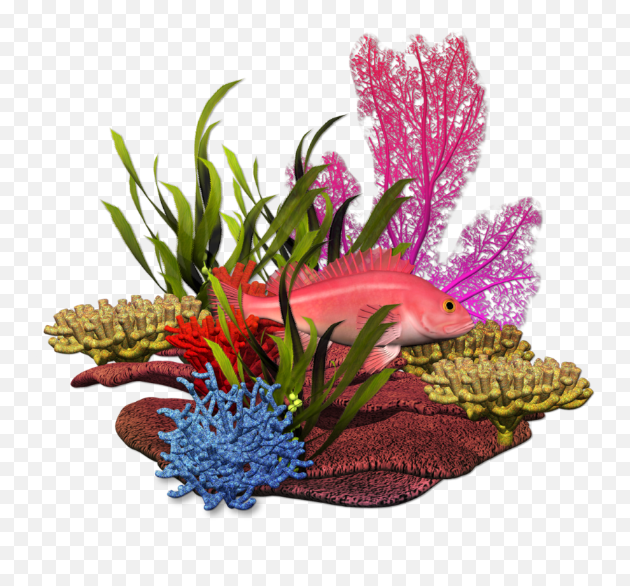 Download Hd Fundo Do Mar Marine Plants - Under The Sea Plants Png,Under The Sea Png