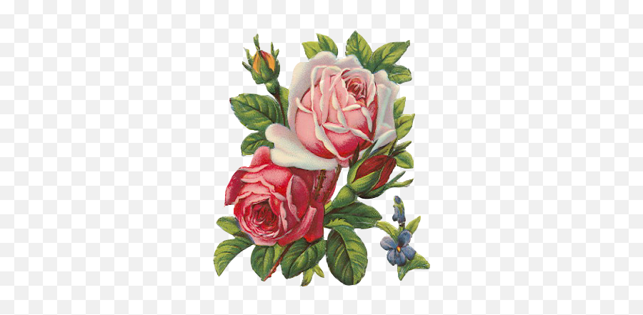 Flowers Png Images - Les Roses De Provence Decoupage Paper,Rose Flower Png
