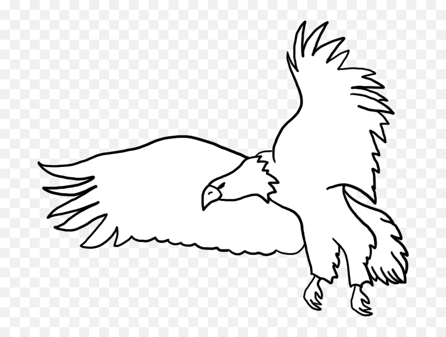 Bald Eagle Drawings - Black And White Eagle Drawing Png,Crown Outline Png
