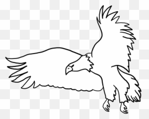 Bald Eagle Drawings - Black And White png